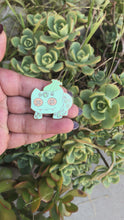 Load and play video in Gallery viewer, Plushie Bulba Enamel Pin
